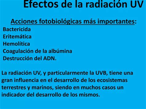 Efectos Biol Gicos De La Radiaci N Uv Ppt