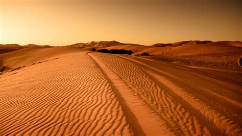 Fotos Gratis Paisaje Desierto Duna De Arena Seco Marruecos