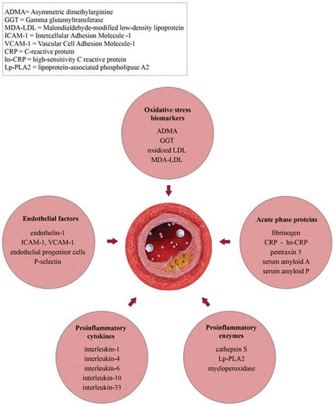 Inflammatory And Oxidative Stress Biomarkers Download Scientific Diagram