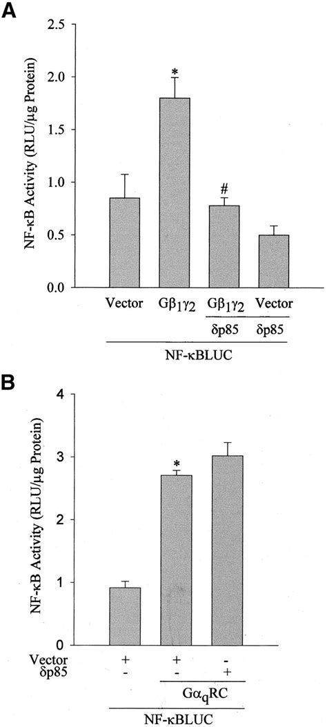 Gαq And Gβγ Regulate Par 1 Signaling Of Thrombin Induced Nf κb