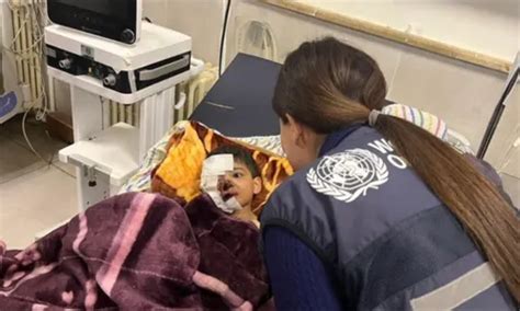 organisasi   pengertian sejarah tugas tujuan