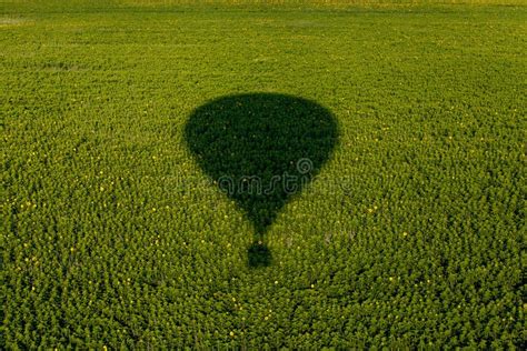 Air Ballon Flying Stock Photo Image Of Morning Field