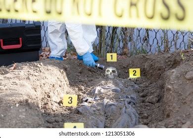 Crime Scene Investigation Stock Photo 1213051306 | Shutterstock