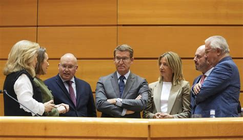 El Pp Registra Su Propuesta Para Que El Senado Plantee Por La Amnistía