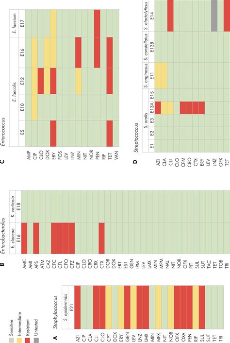 SciELO Brasil Identification And Antimicrobial Susceptibility