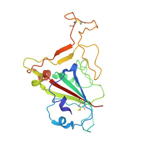 RCSB PDB 3SCK Crystal Structure Of Spike Protein Receptor Binding