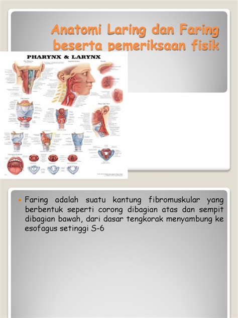 Anatomi Laring Dan Faring Beserta Pemeriksaan Fisik Pdf