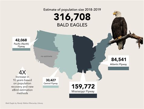 BaldEagleMap_03_19_21.jpeg | FWS.gov