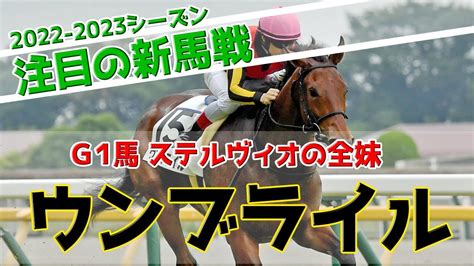 【2歳新馬戦】g1馬ステルヴィオ全妹！ウンブライル Youtube