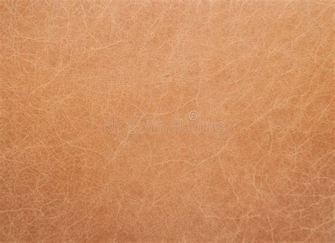 Tan Leather Abstract Background Stock Photo - Image of leather ...