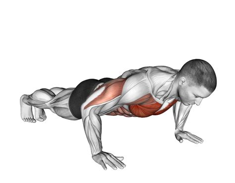 Negative Eccentric Push Up Benefits Muscles Worked And More Inspire Us