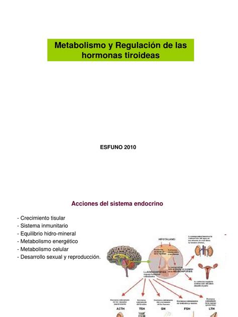 Pdf Hormonas Tirodeas Dokumen Tips