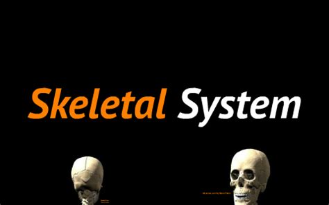 Acrostic Skeletal System By Aurora Harris By Aurora Harris On Prezi