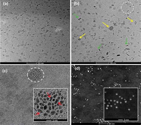 The Cryotem Micrographs Of A Pristine Bicelles And B Nano Auc