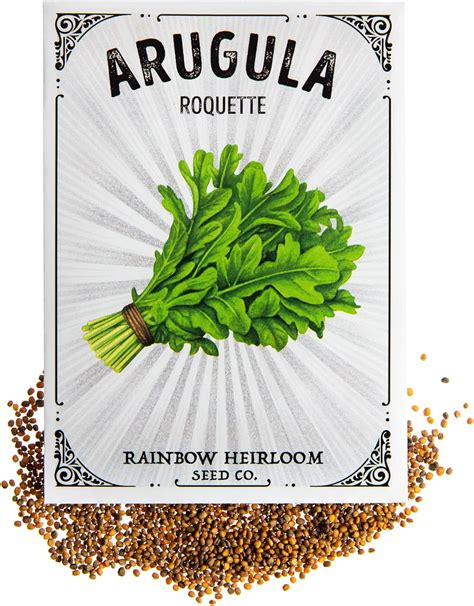 Arugula Seeds For Planting Roquette Variety 4g Packet