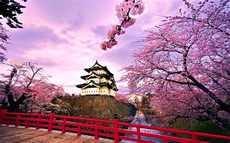 Osaka Castle Wallpapers - Top Free Osaka Castle Backgrounds ...