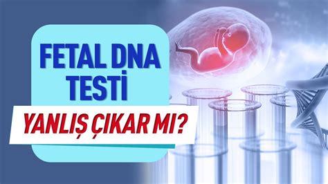 Fetal Dna Testi Nedir Fetal Dna Testi Nas L Yap L R Fetal Dna Testi