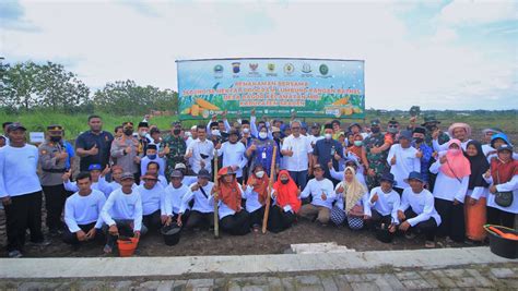 Baznas Buka Program Lumbung Pangan Di Desa Bagor, Kecamatan Miri ...