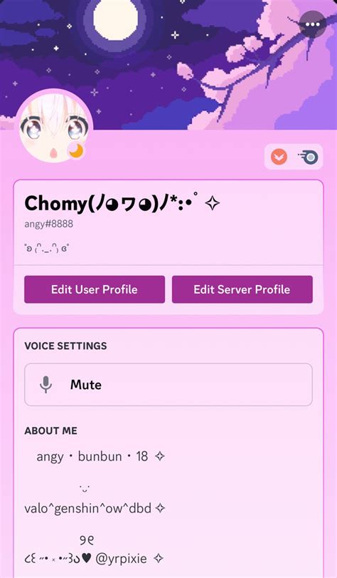 Cute Discord Profile In 2024 Discord User Profile Profile