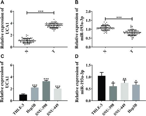 Up Regulation Of Lncrna Uca1 In Hcc And Down Regulation Of