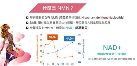 Nmn 是什麼？