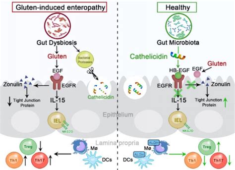 Embo Molecular Medicine