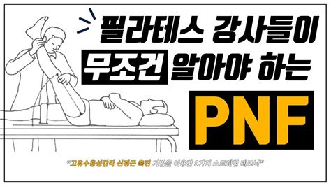 Pnf고유수용성 신경근 촉진법을 이용한 과학적인 스트레칭 테크닉 이론편 L Proprioceptive