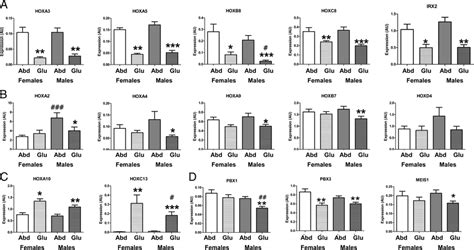 Expression Of Hox Genes And Hox Gene Cofactors In Abdominal Abd And