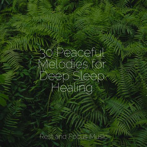 30 Peaceful Melodies For Deep Sleep Healing Album By Massage Tribe