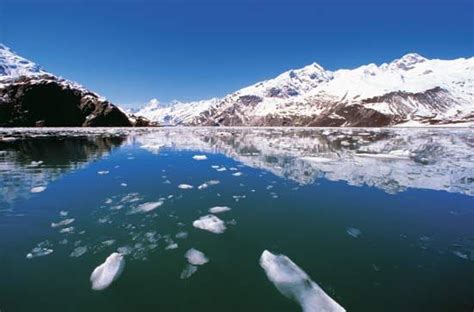 Glacier Bay National Park And Preserve Alaska Usa Wildlife Glaciers Britannica