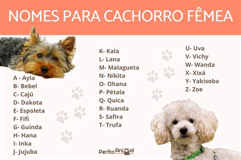 Nomes de cachorros FÊMEAS de A a Z - Originais e bonitos