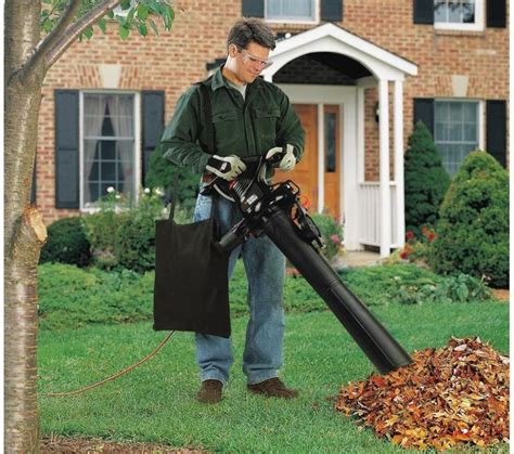 Best Leaf Blower Vacuum Mulcher for 2021. How To Buy The Best One ...