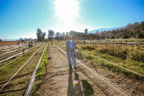 Los Mejores Parques Y Atracciones Naturales De Tlajomulco De Z Iga