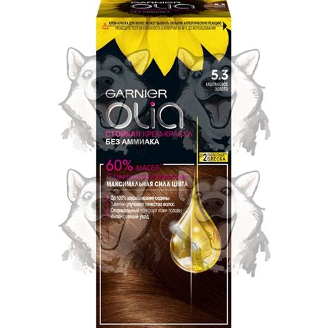 Краска для волос Garnier Olia Каштановое золото. Купить в интернет ...