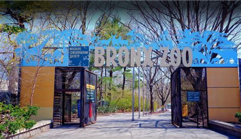 Parking Near The Bronx Zoo- The 2025 Ultimate Guide