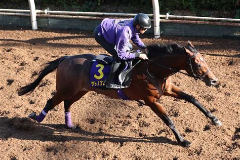 【菊花賞】神戸新聞杯勝ちの勢い サトノグランツ楽々52秒7 サンスポzbat