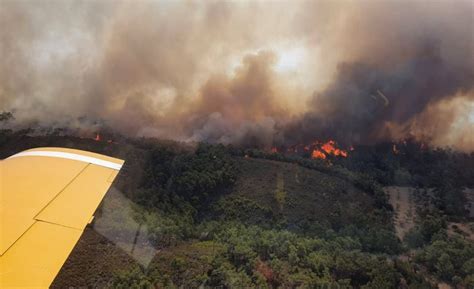 Se estrella un avión cisterna que operaba en el incendio en la isla