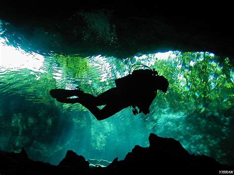 CENOTE Diving Excursion & Tour with Dressel Divers