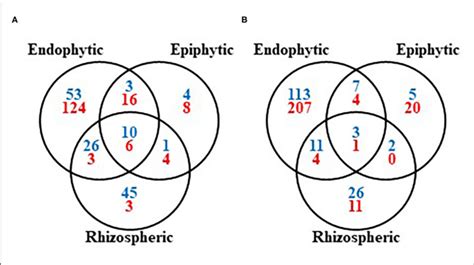 Venn Diagrams Of The Archaea And Bacteria Blue And Fungi Red Download Scientific Diagram