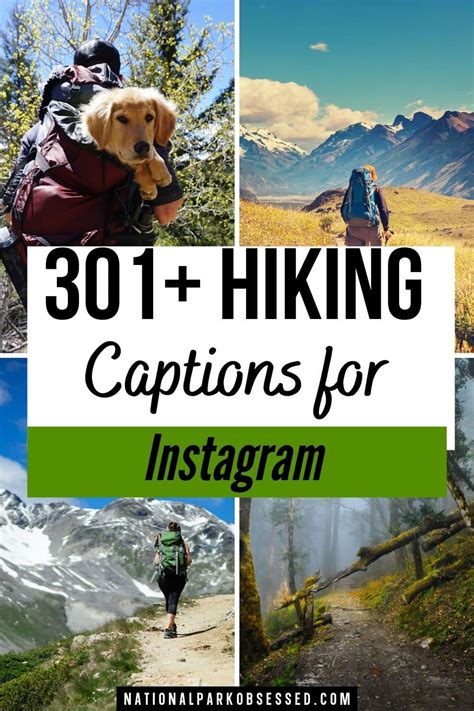 301 Best Hiking Quotes Hiking Captions For Instagram National Park