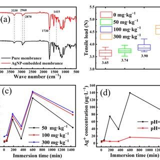 Ac Sem Images Of Agnp Embedded Tpu Nanofiber Membrane With Agnp