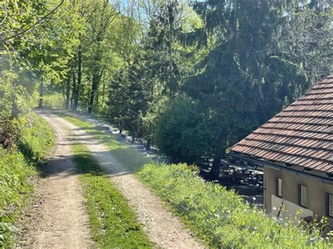 Best Views Trails In Medvednica Nature Park Alltrails