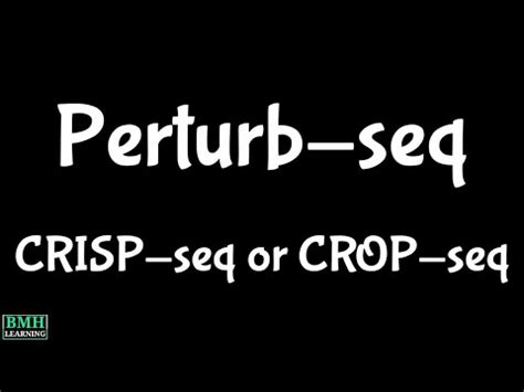 Perturb Seq Crisp Seq Crop Seq Perturb Seq Analysis Youtube