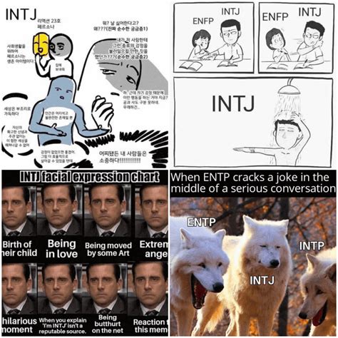 mbti intj