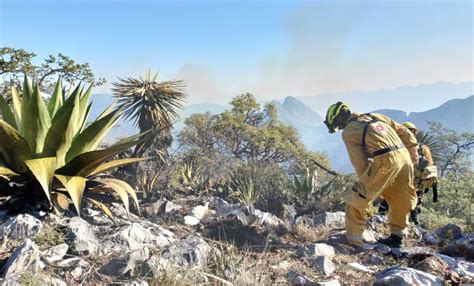 Incendios Forestales En Nuevo León Últimas Noticias