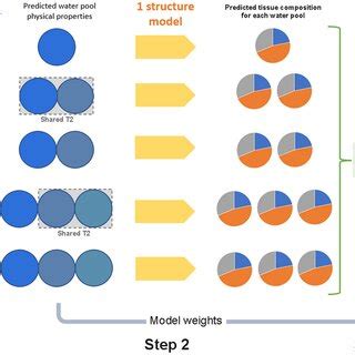 Schematic representation of the sequential modelling approach that ...