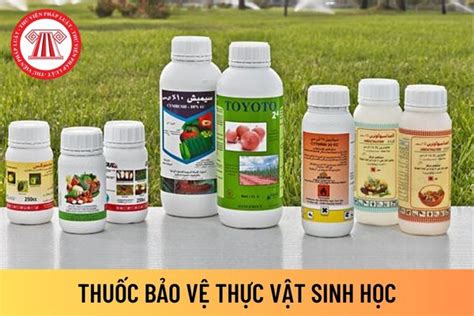 Thuốc Bảo Vệ Thực Vật Sinh Học Là Gì Chỉ Vận Chuyển Thuốc Bảo Vệ Thực