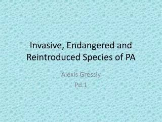 Ppt Invasive Species Rabbits In Australia Powerpoint Presentation