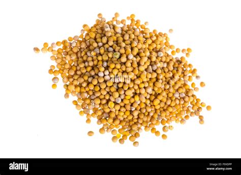 Yellow Mustard Seeds Stock Photo Alamy