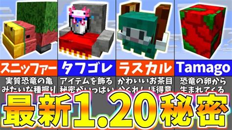 【マイクラ1 20】絶対に知っておくべき新モブの秘密＆アップデートの小ネタ8選【まいくら・マインクラフト】 Minecraft Summary マイクラ動画